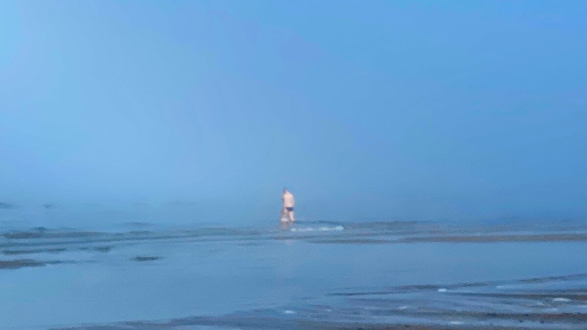 Вот этот смельчак 