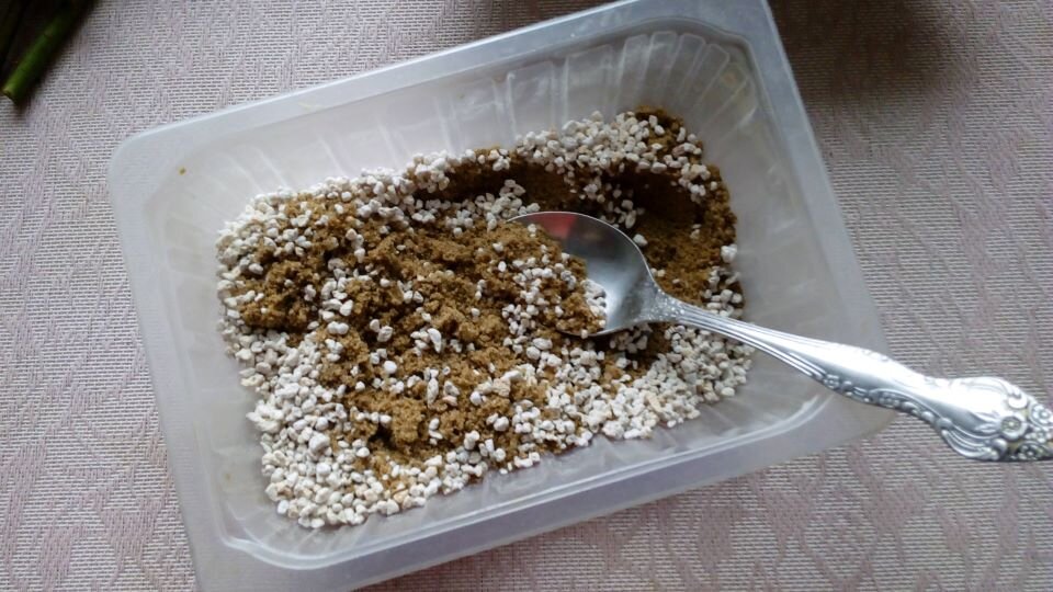 Песок с перлитом. Фото автора