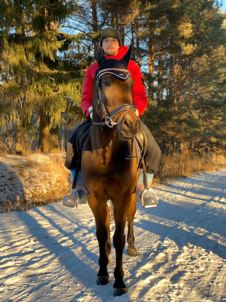 Коня я не уводил. Мы его купили.