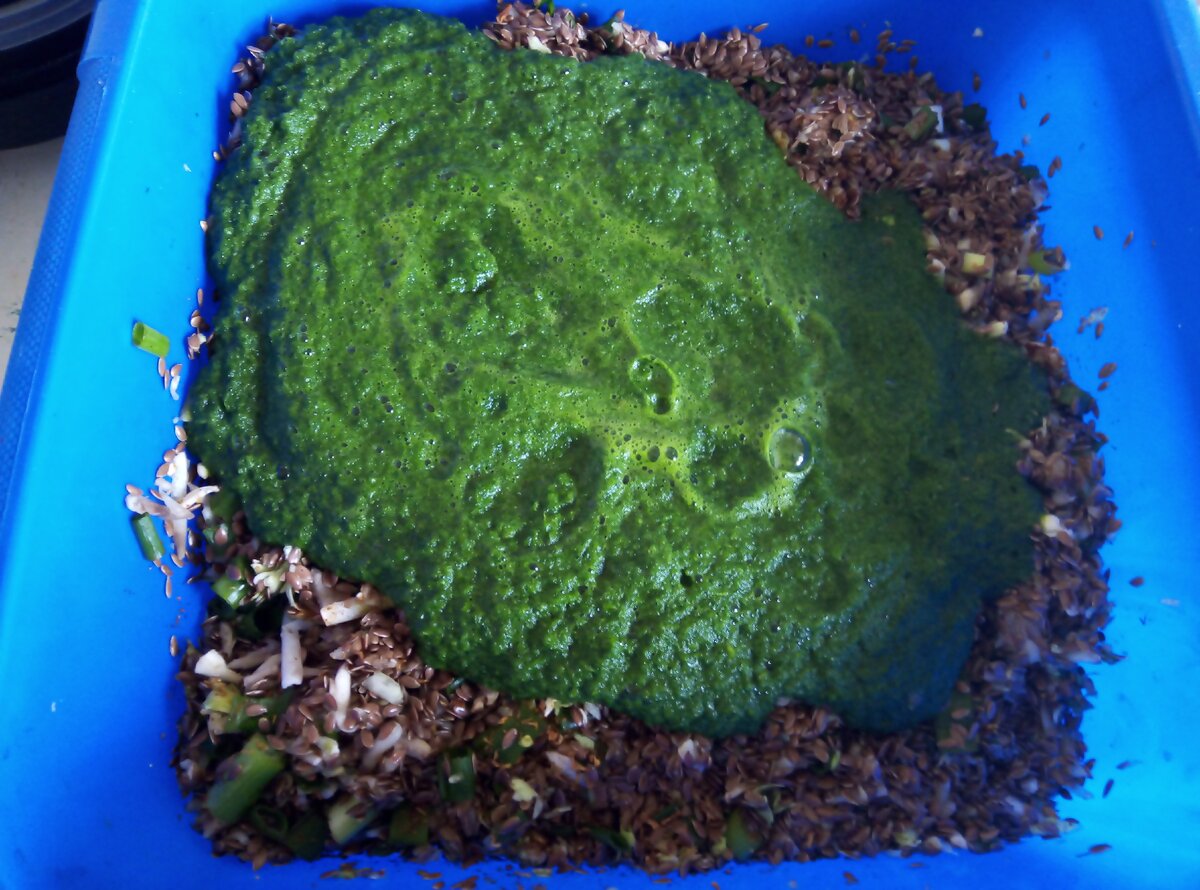 Тесто для овощных хлебцев 