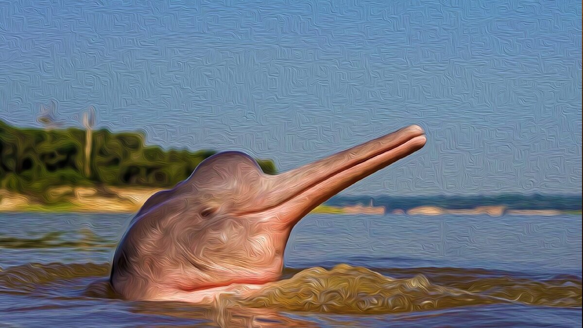 Изображение с сайта   web-zoopark.ru