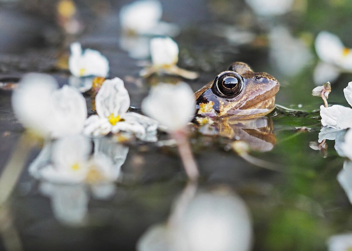 Photo by Pascal van de Vendel on Unsplash