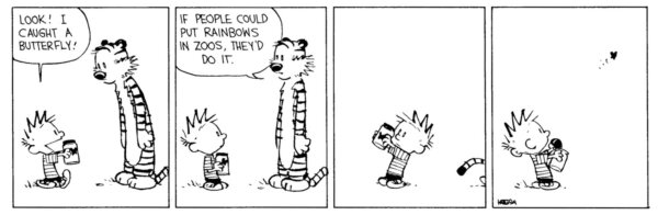 Это комикс Bill Waterson “Calvin and Hobbes”