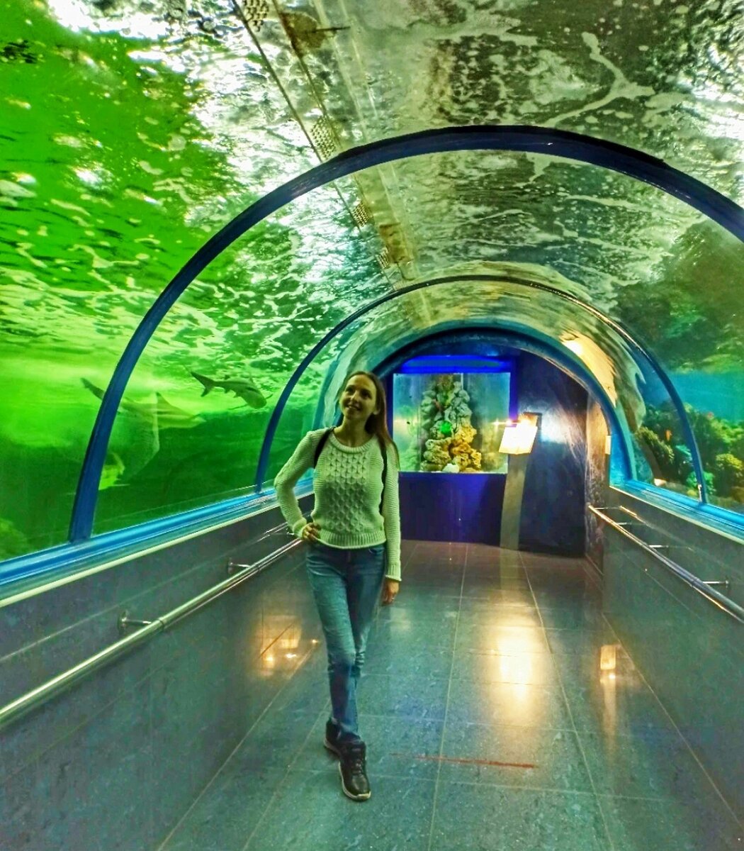 Краснодарский океанариум Оcean Park. Океанариум Ocean Park Краснодар. Океанариум Краснодар парк Галицкого. Океан парк Краснодар.