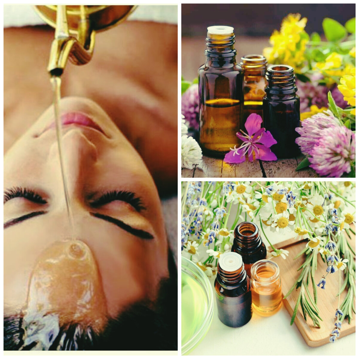 Источник Яндекс картинки. Коллаж мой