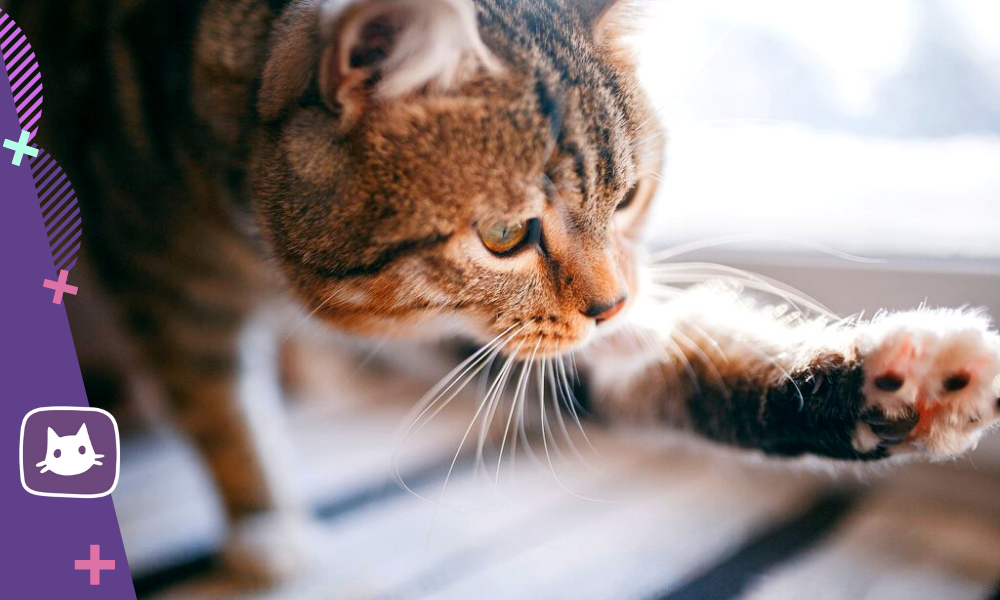 Неповторимые изгибы и формы