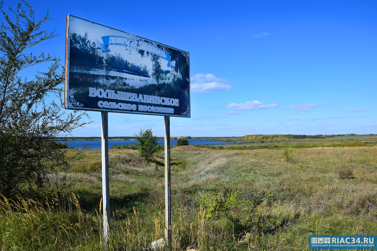 Живые»​​​​​​​ острова, стерегущие от чужаков озёра на севере Волгоградской  области | Клиография | Дзен