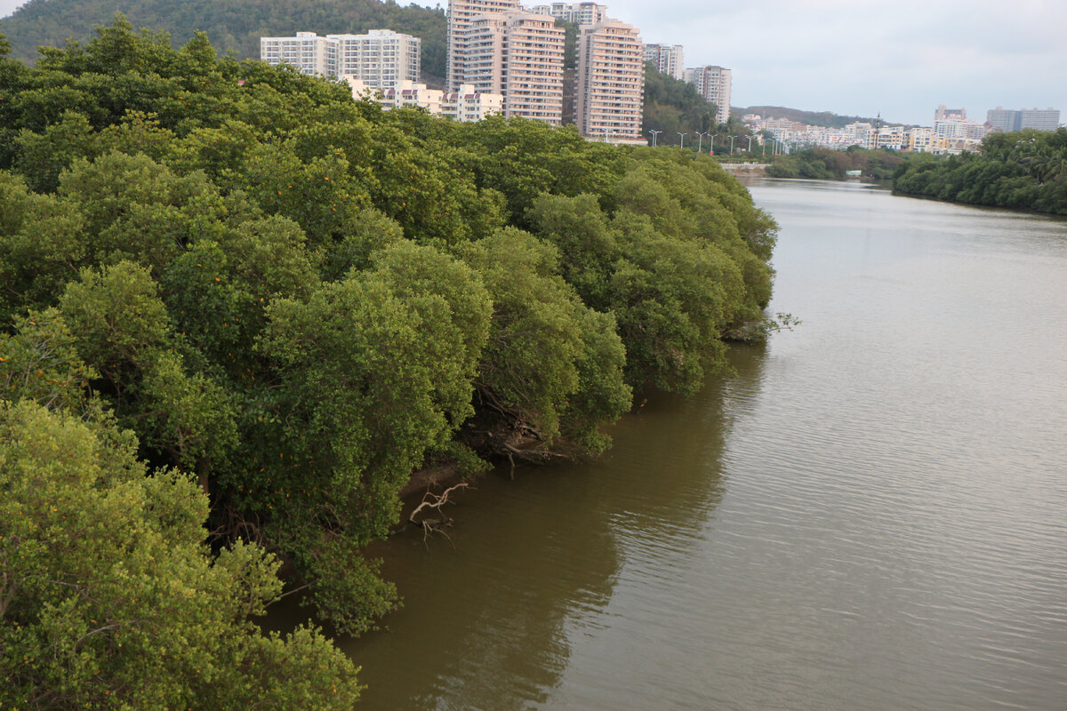 Вид с моста.