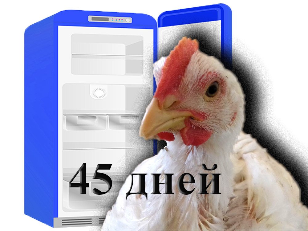 45 дней и в морозилку