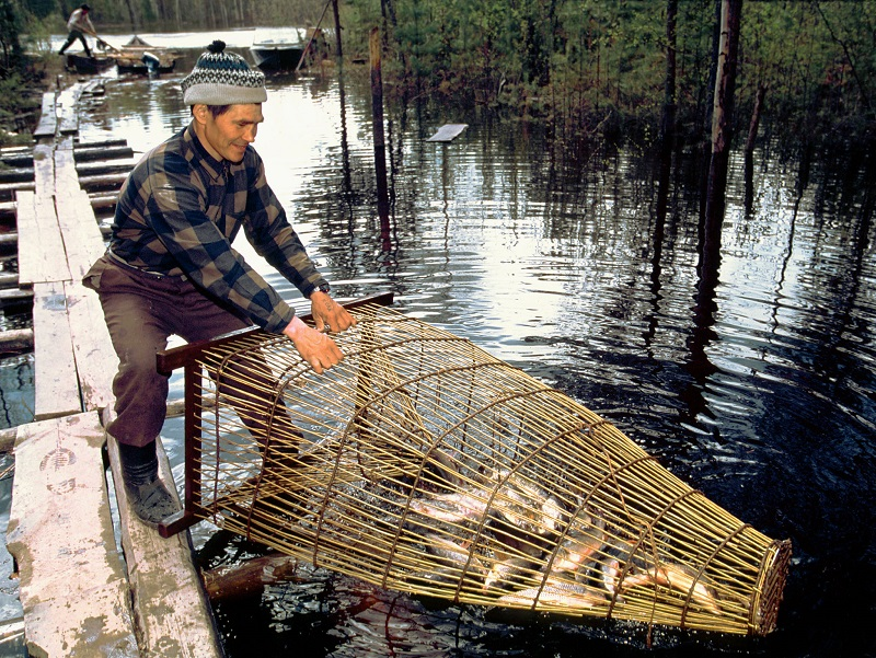 Рыболовная морда фото