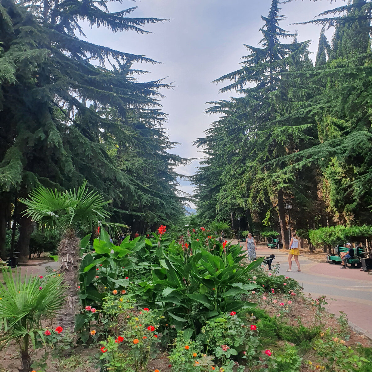 Алушта парк