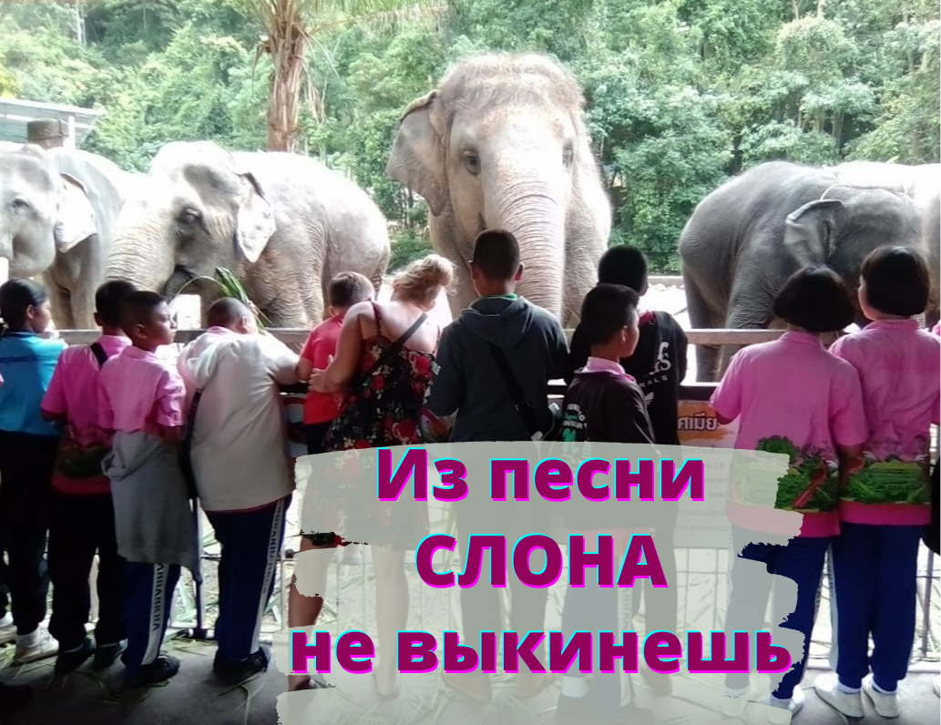 Тайская игра в слова (или слона), от которой не отвяжешься весь день 🐘 |  Свали Сегодня! В Таиланд :) | Дзен