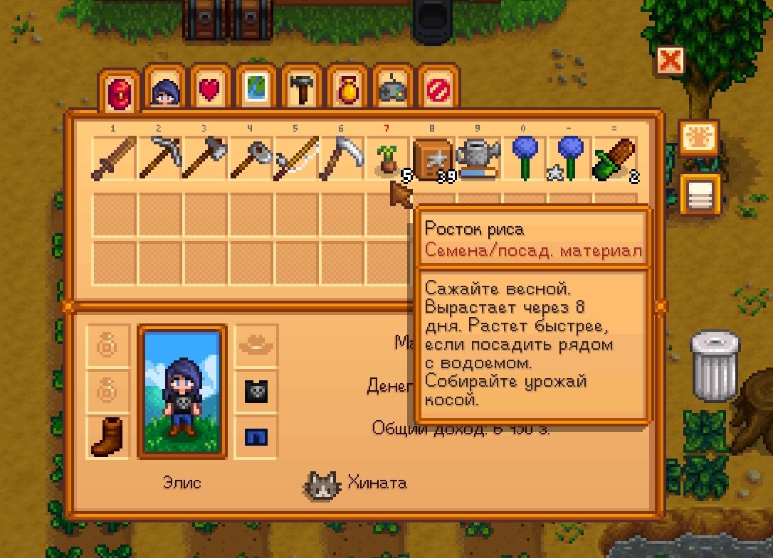 Семена риса.