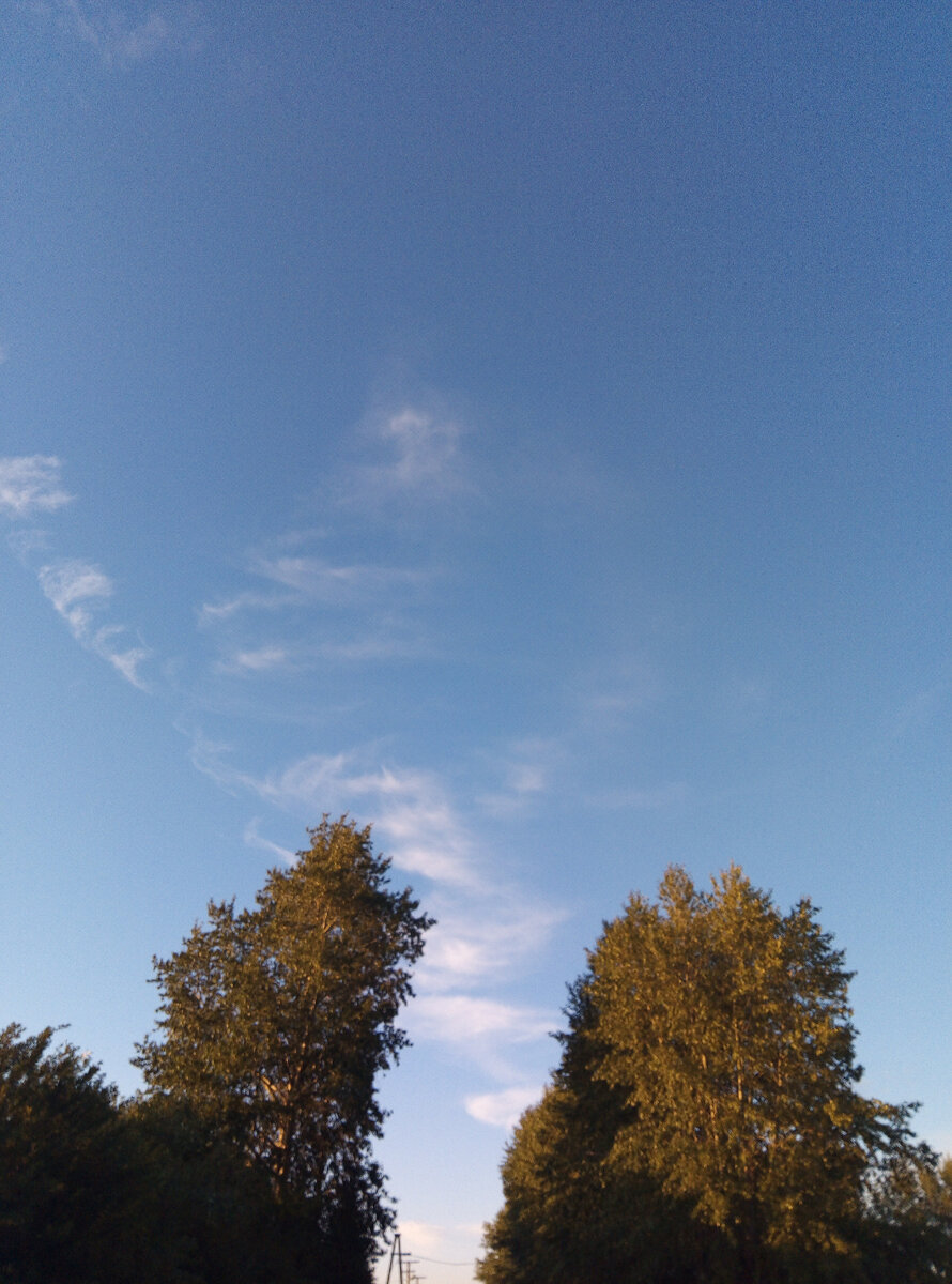 Чистого вам неба! Фото автора 