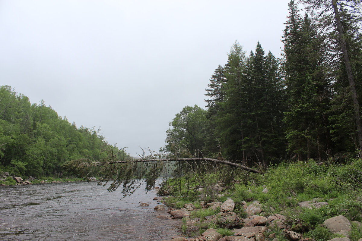 Река Нижний Мельгин, Амурская область