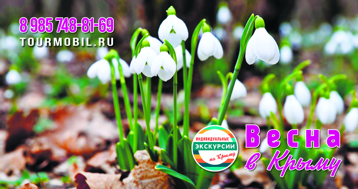 Февраль. Зацвели подснежники