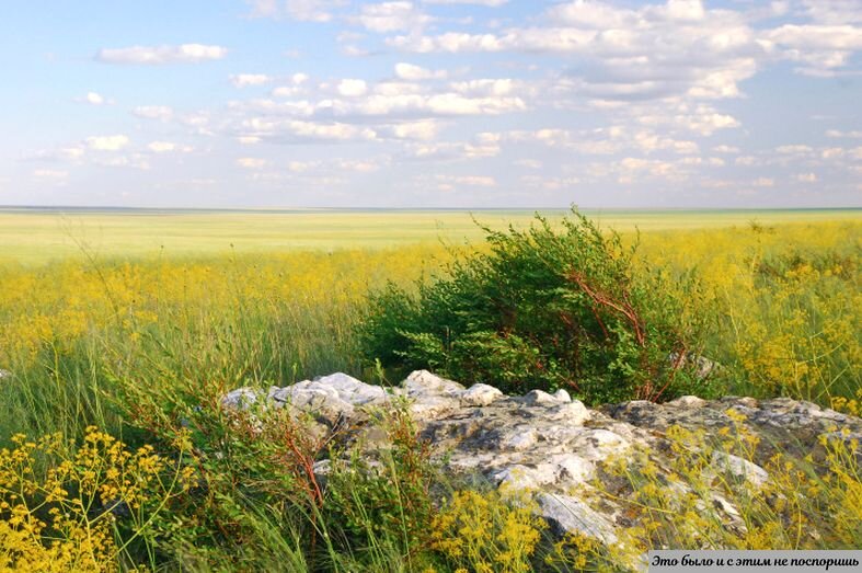 Оренбургская степь. Источник – https://clck.ru/dXBQP  