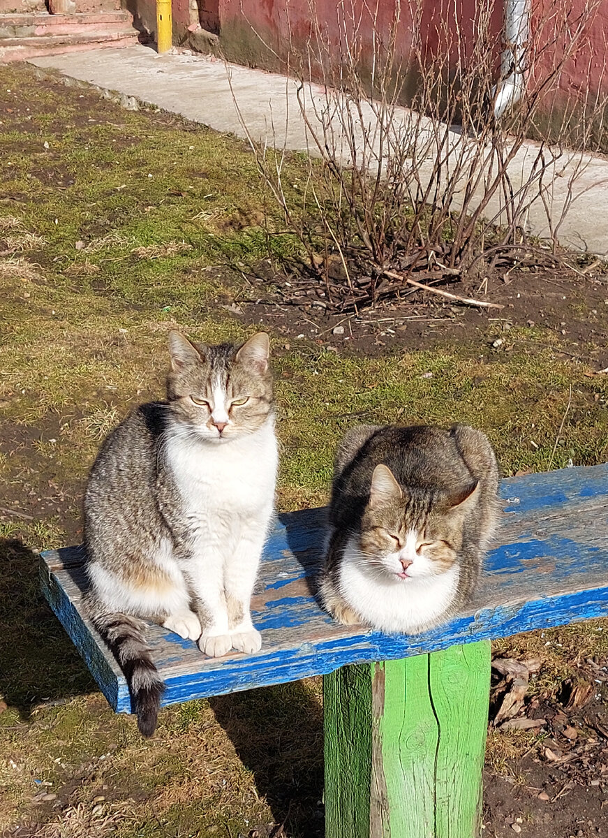 Фото из личного архива 