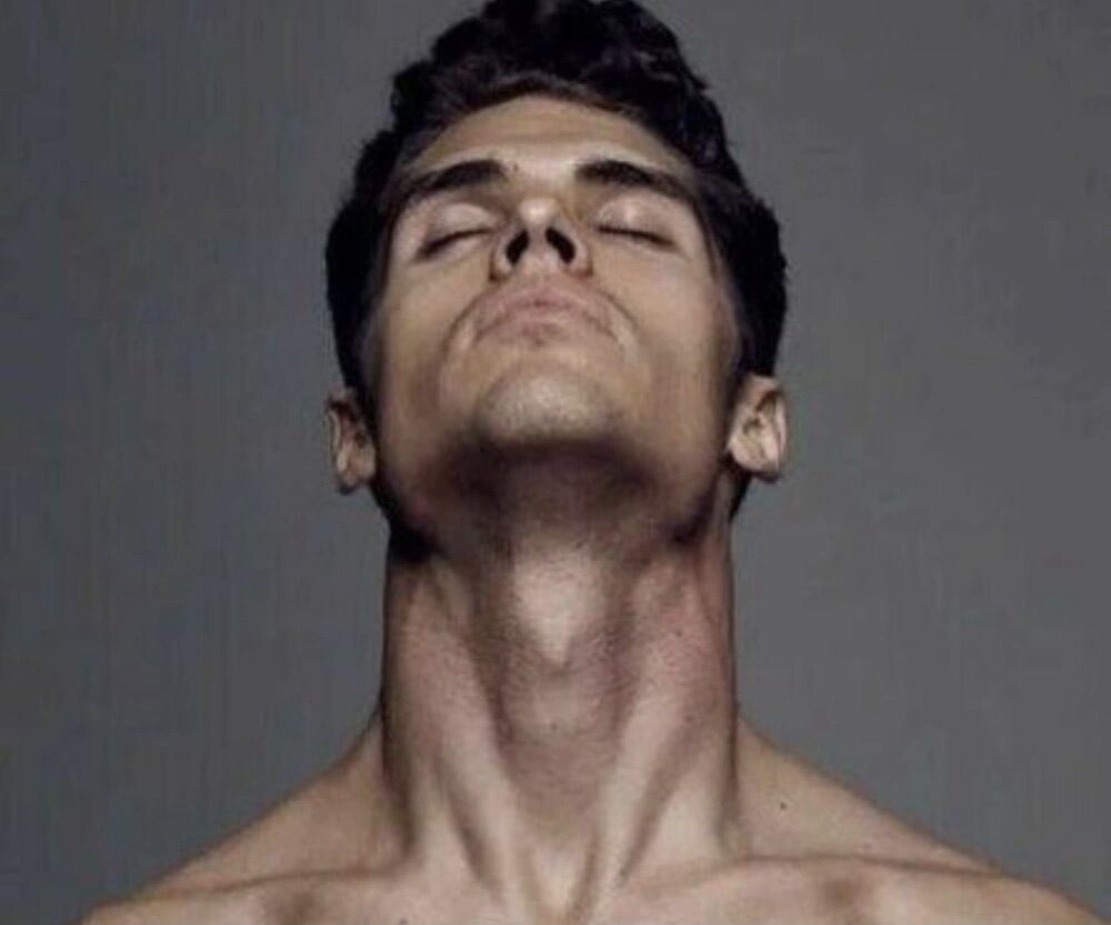 Бит кадык. Бит кадык. Кадык строение. Бит кадык. Бит кадык.