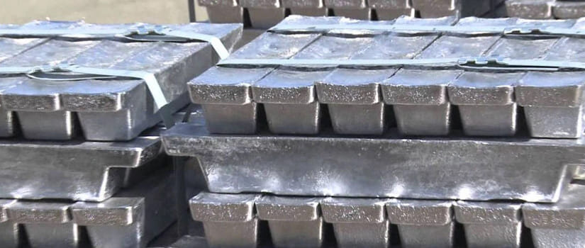 фото из сети