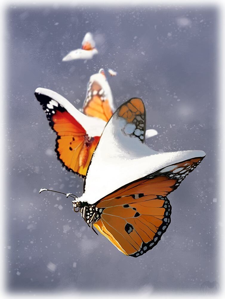 © Алексей Андреев  | Alex Andreev