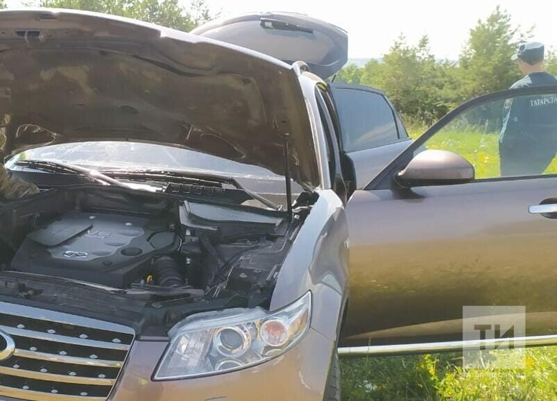 Фото: © очевидцы