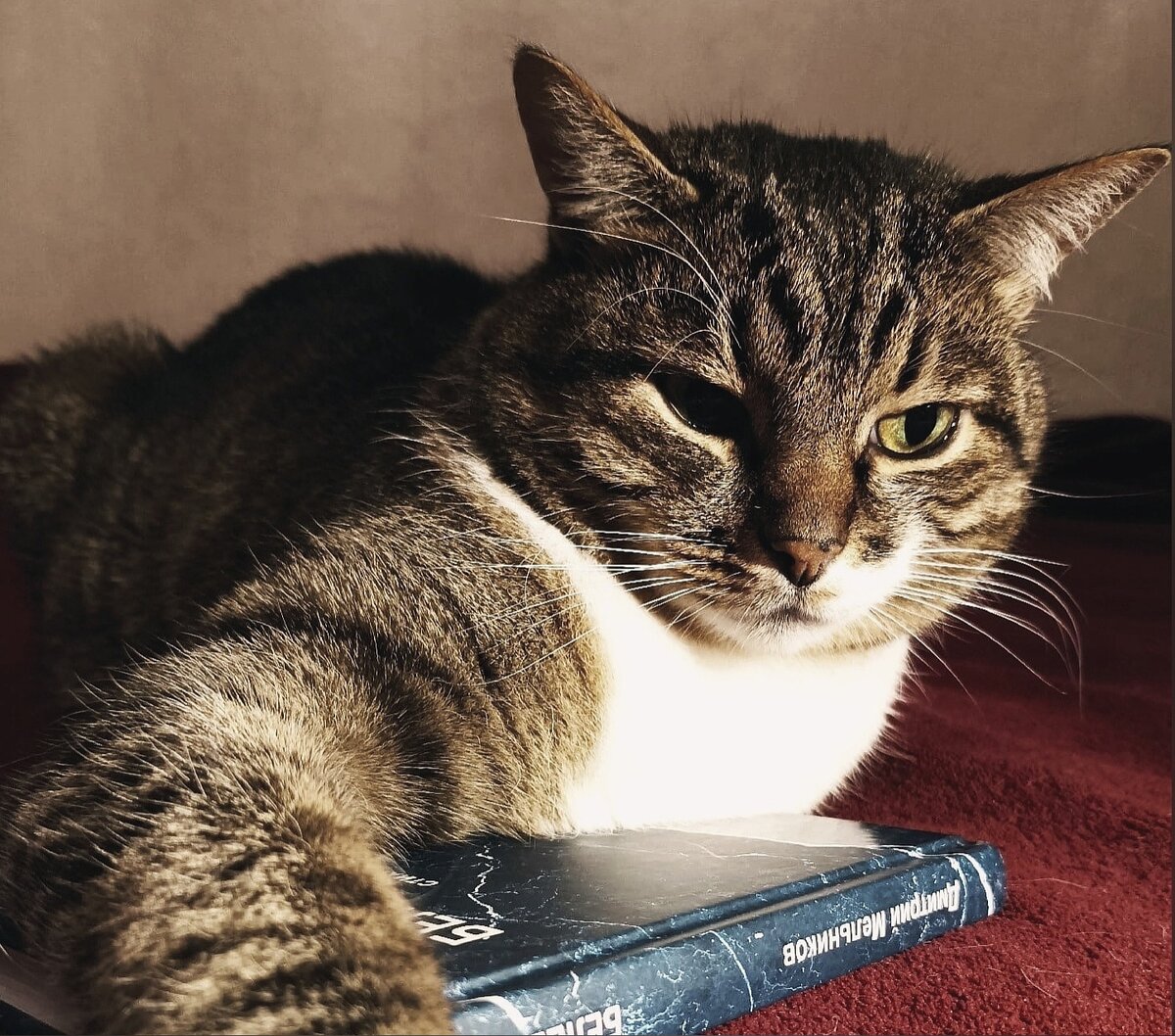 Ценитель поэзии