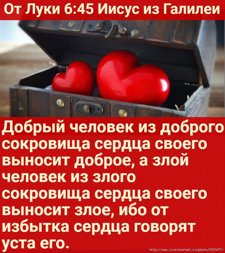 Из открытых источников Яндекса.