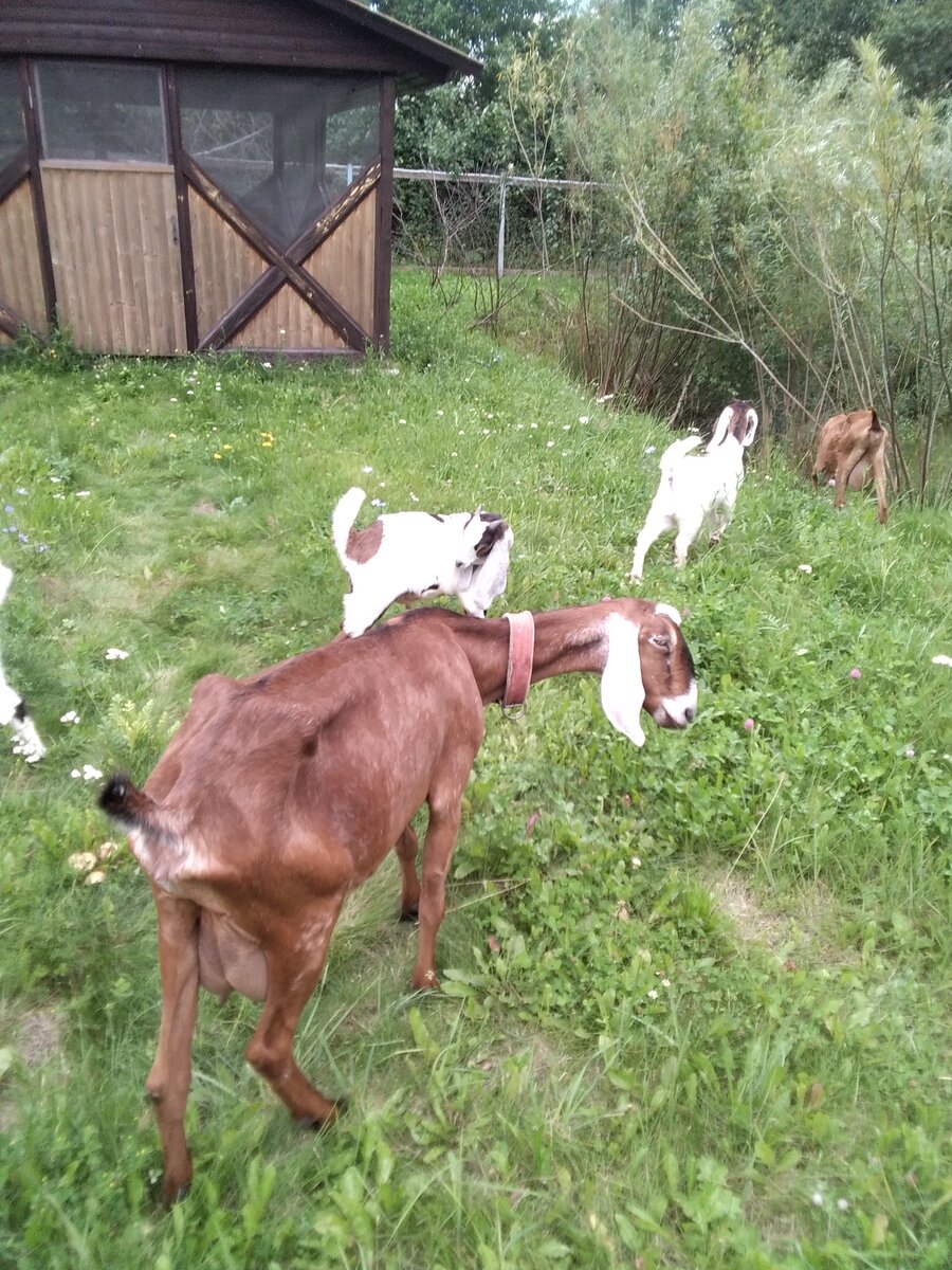 Фото автора.