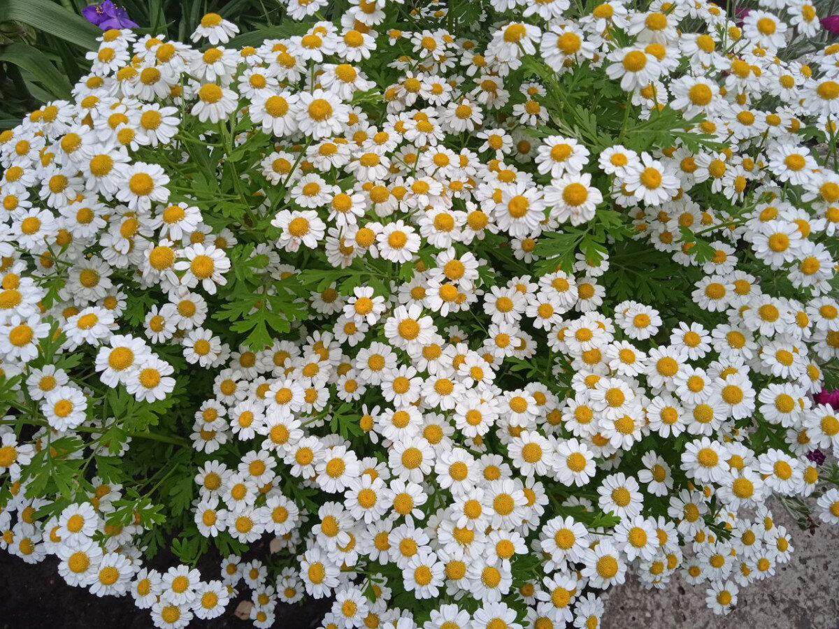   ГТРК "Ставрополье"