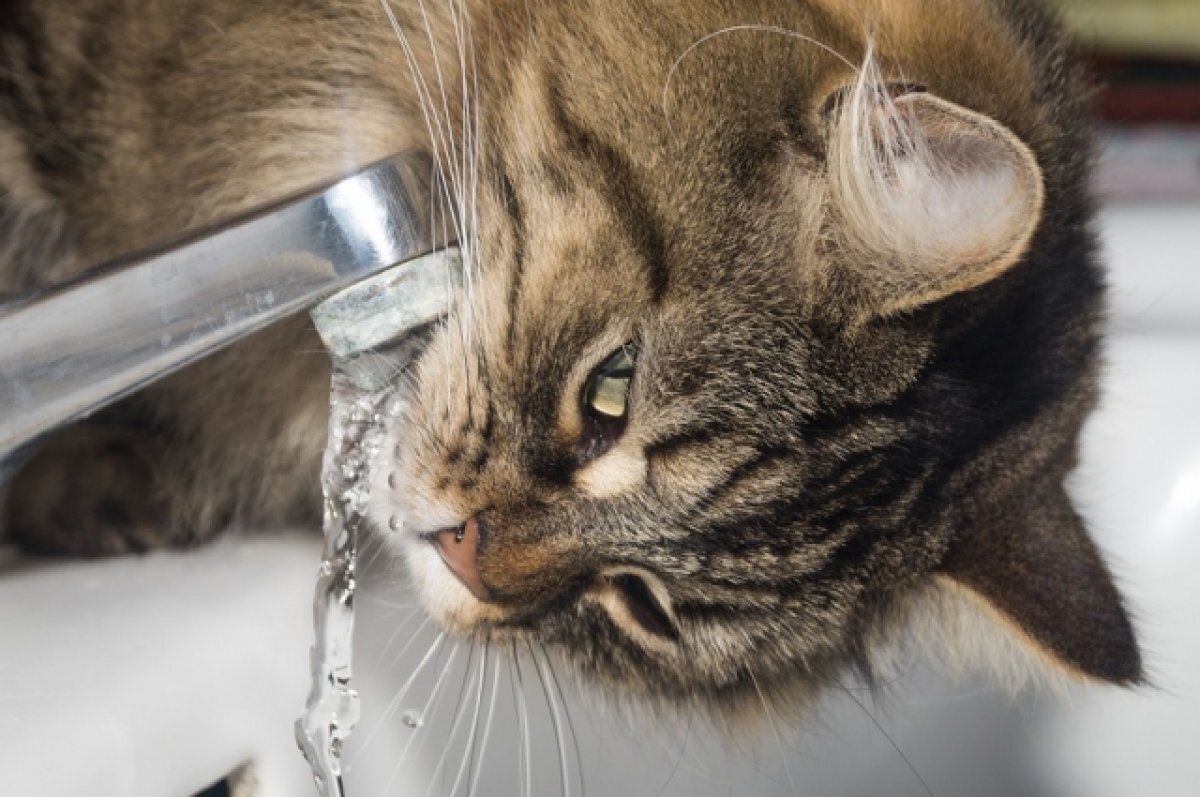    В Краснодаре у жителей домов на 3 улицах отменили отключение горячей воды