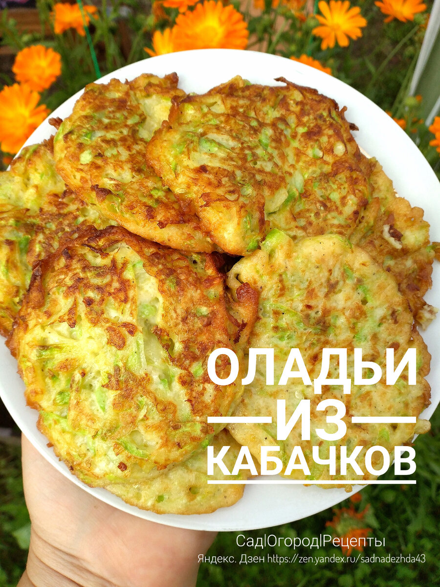 Оладьи из кабачков с зеленью рецепт – Турецкая кухня: Выпечка и десерты. «Еда»