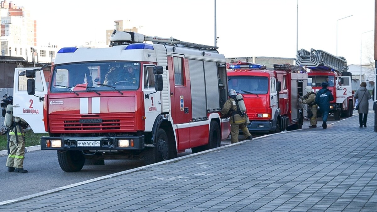     Жители Ростова опубликовали в социальных сетях видео с места крупного пожара в многоквартирном доме на Погодина, где погиб мужчина, ролик появился в Сети.