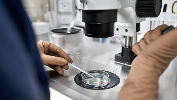    Фото: bezikus / Shutterstock / Fotodom