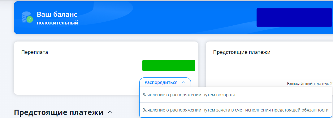 Варианты распоряжения положительным сальдо ЕНС в личном кабинете ИП