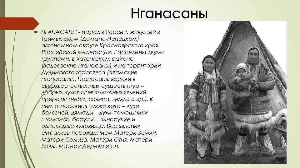 Народ статья. Народы Красноярского края. Народ нганасаны кратко. Названия народов Красноярского края. Нганасаны район проживания.