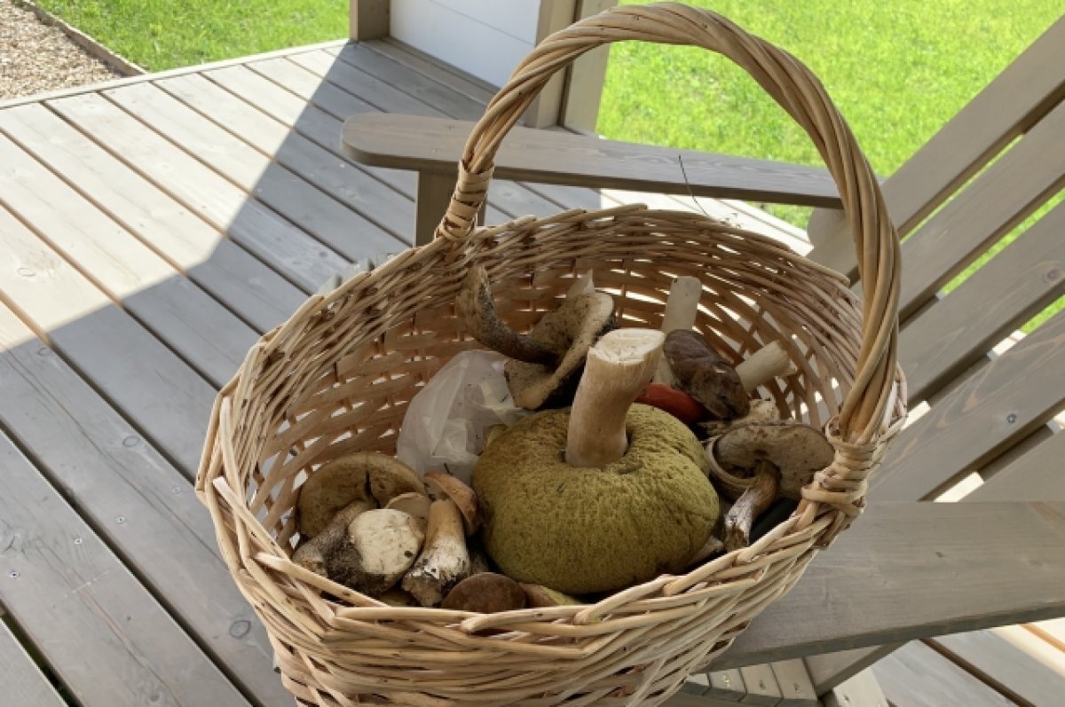    Тюменцам рассказали о способах заморозки свежих грибов на зиму