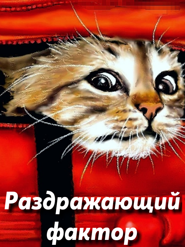 Фото из открытого источника, коллаж автора