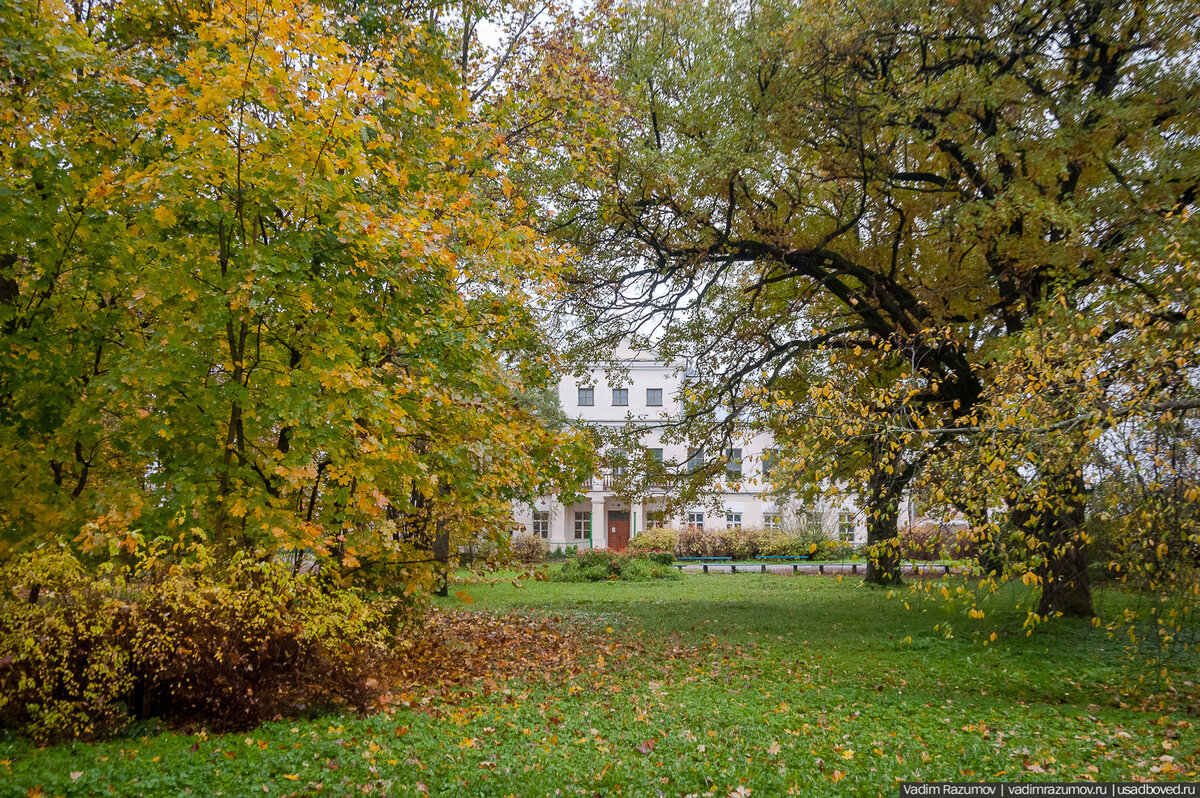 Golden Time, 2014, 24 episodes Lost on the grounds of the University of Tokyo du