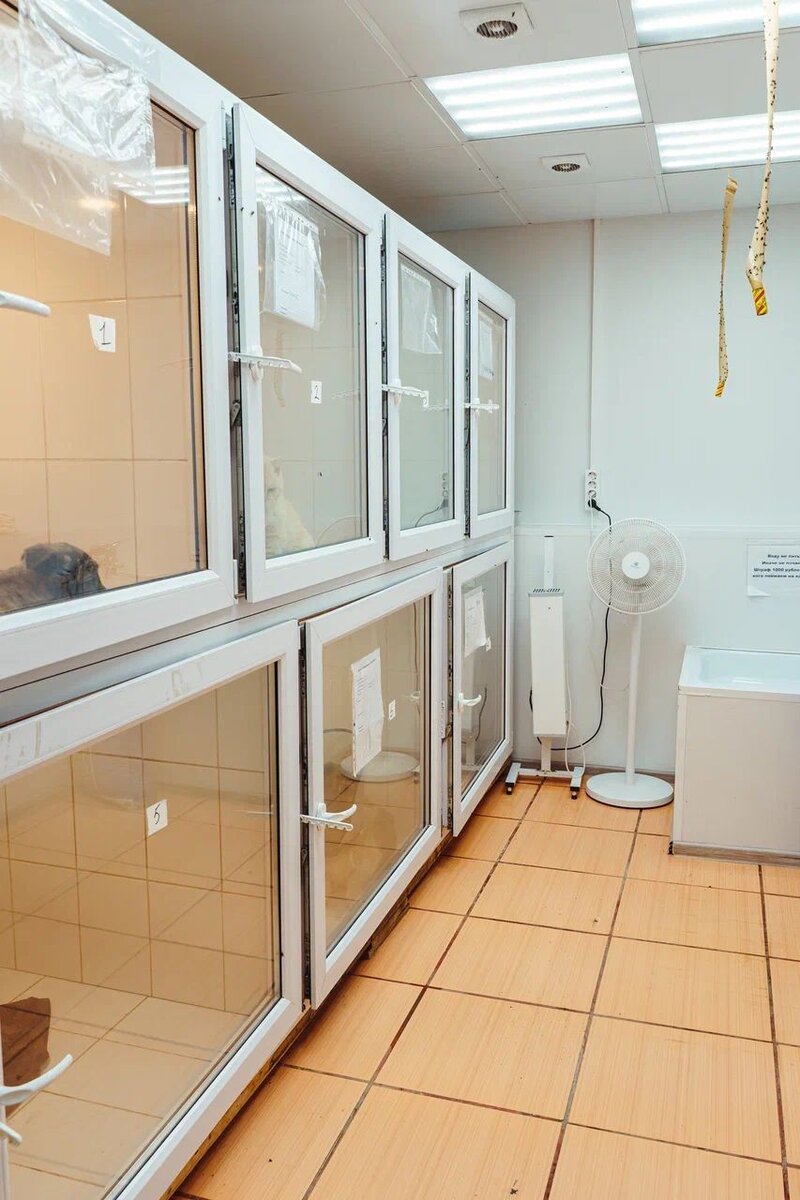 Каждый раз, мы пишем пост в отчаяние, что не получим отклик…