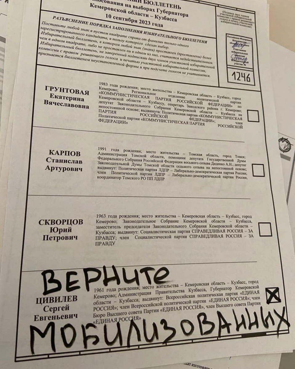 Бюллетень выборы россии 2024. Бюллетень на выборах. Избирательный бюллетень. Бюллетень для голосования на выборах. Бюллетень на выборы.