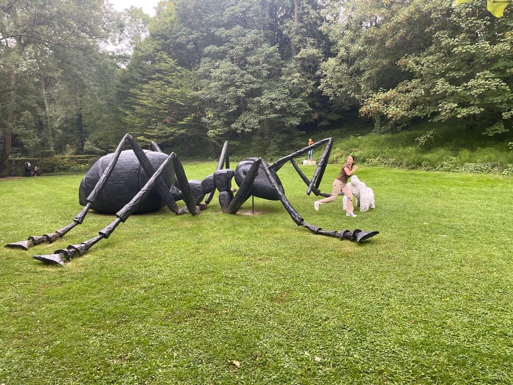 Это я убегаю от французской бюрократии