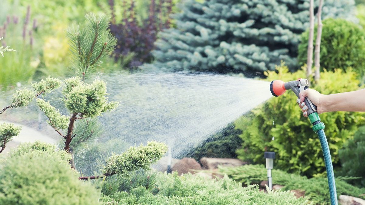 Услуга по уходу за садом от садового центра Green Space 