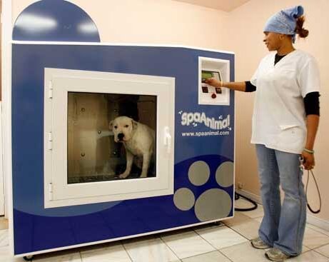 Источник: http://doggi.ru