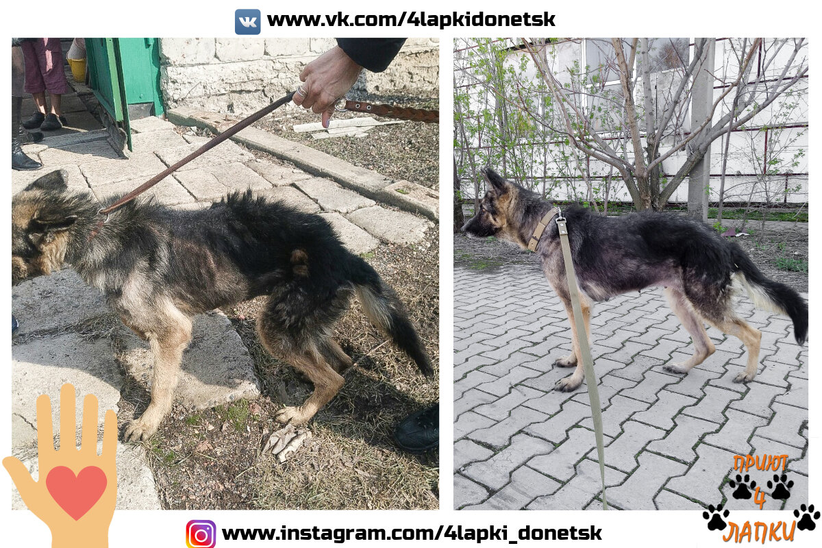 Против использования цепи: