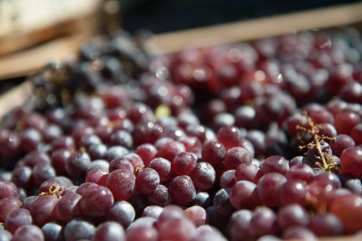 Источник: pinewoodwine.com 
