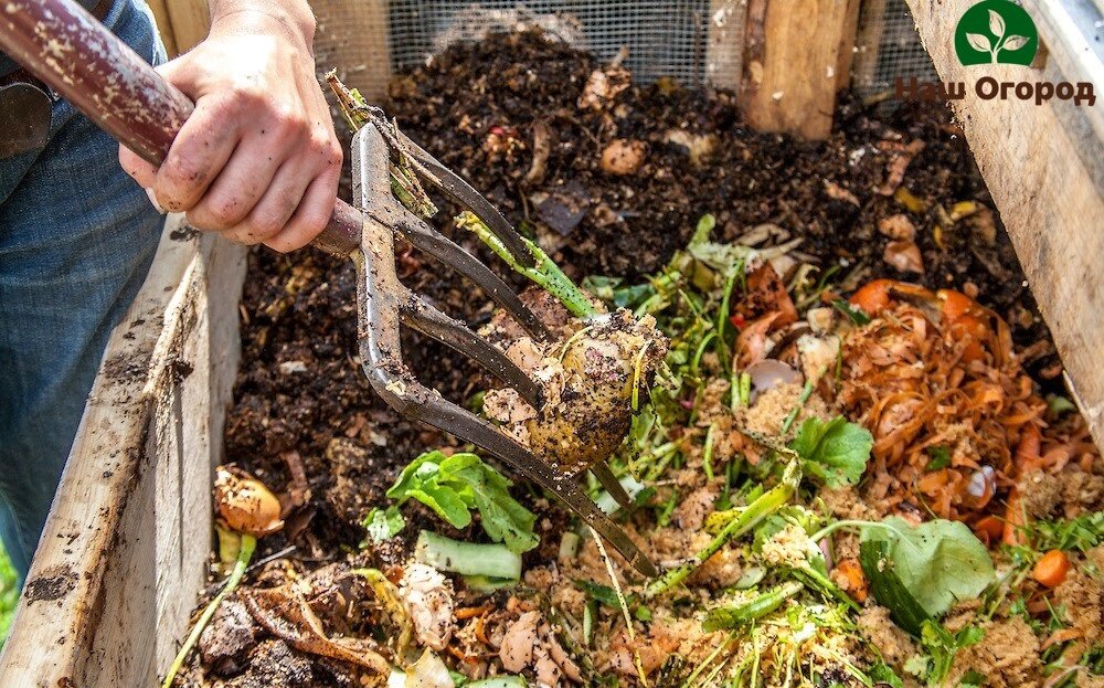 Важно знать принципы компостирования для получения здоровой ценнейшей подкормки для вашего сада.
