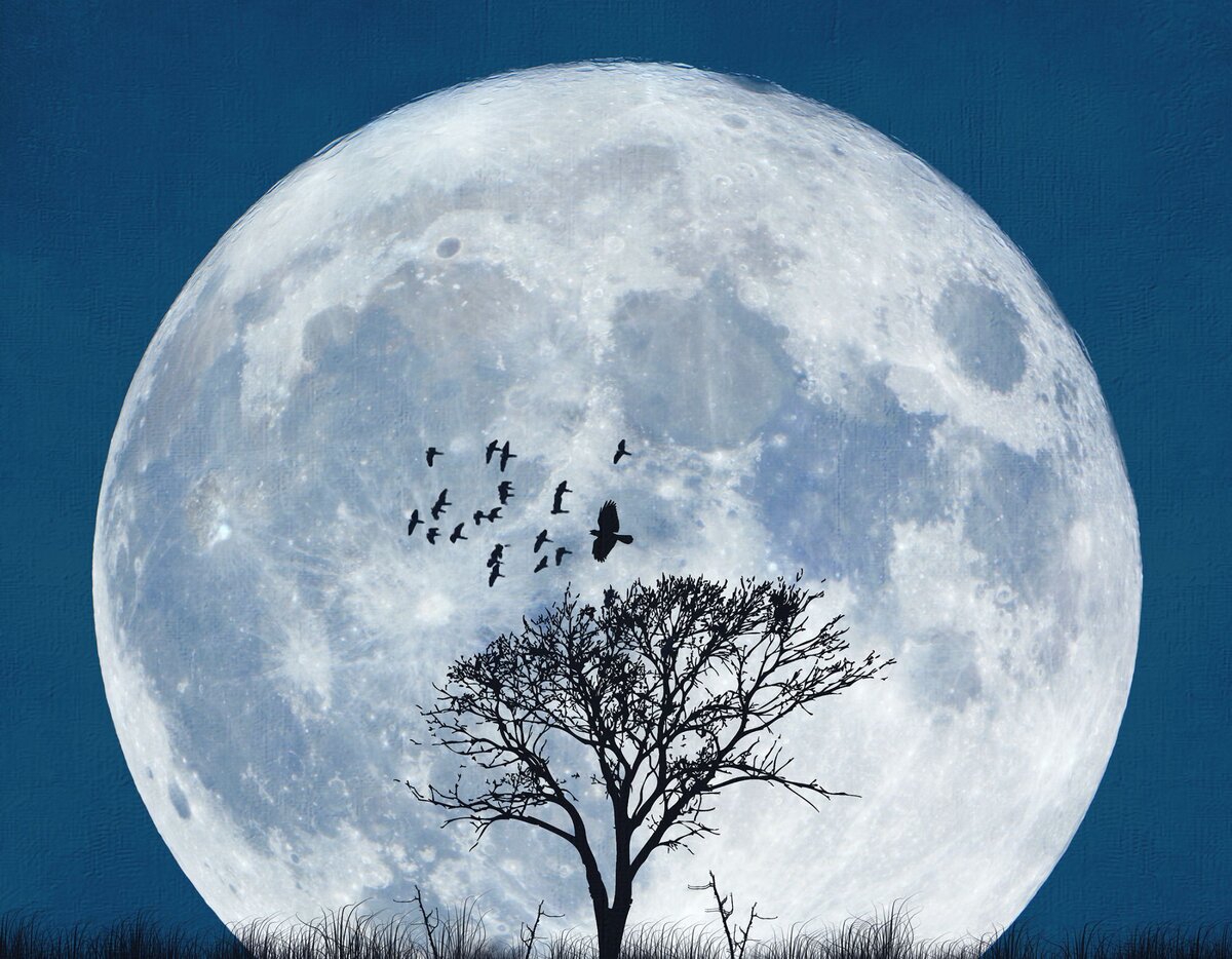 Полнолуние голубая Луна
