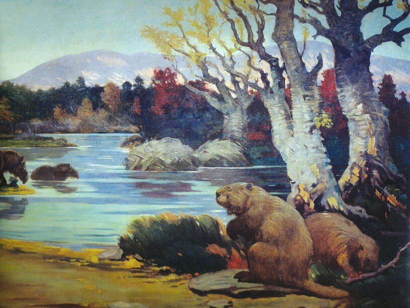 Гигантские бобры. Charles R. Knight, 1904. Wikimedia Commons