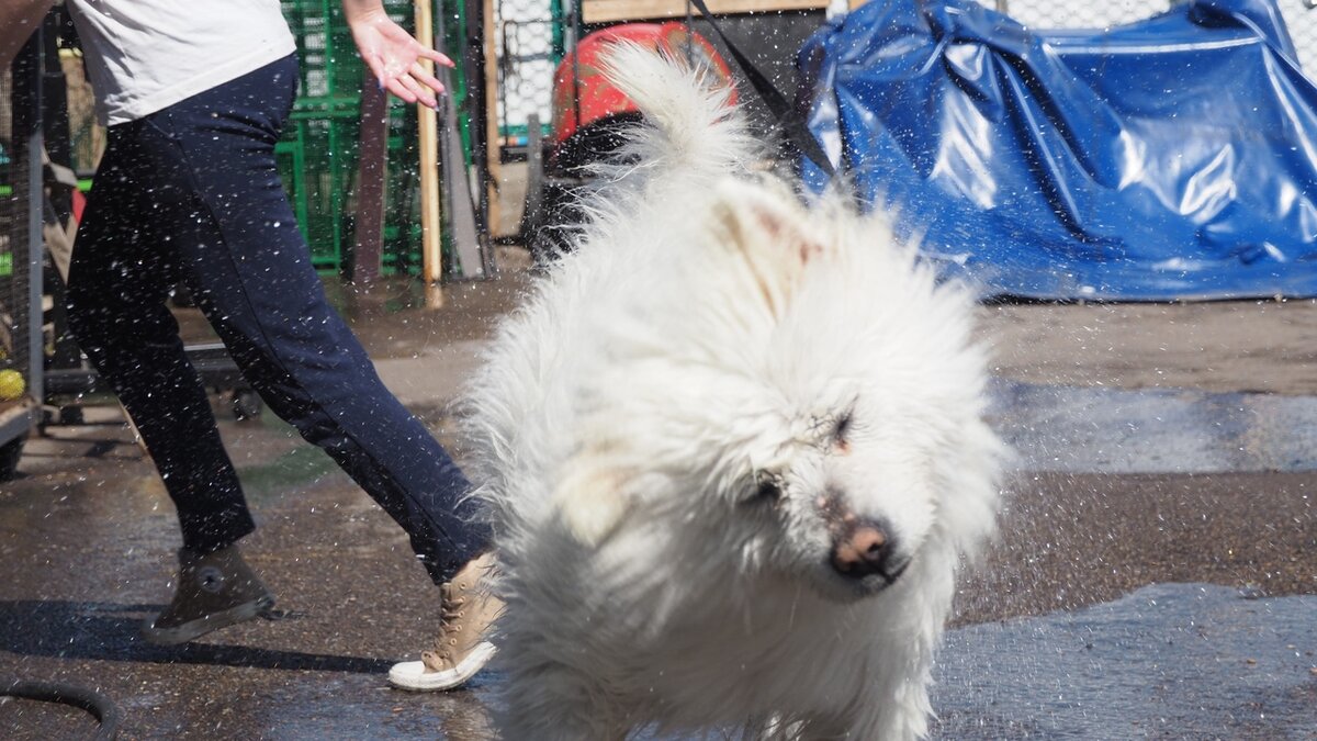 Но иногда хочется похулиганить